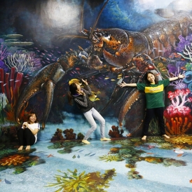  Aqua Zone - Bảo tàng tranh 3D Art in Paradise Danang